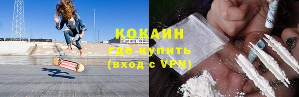 дмт Каменка