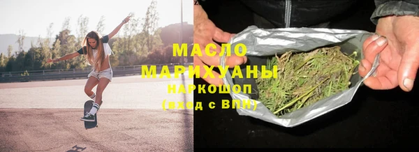 дмт Каменка