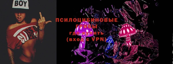 бутират Каменногорск
