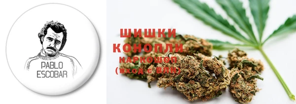 дмт Каменка