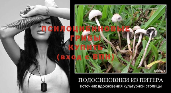 бутират Каменногорск