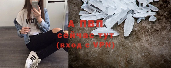 дмт Каменка