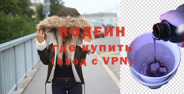 дмт Каменка