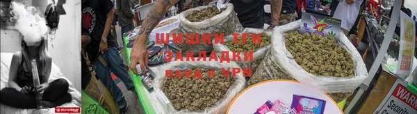 дмт Каменка