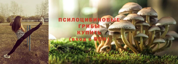 дмт Каменка