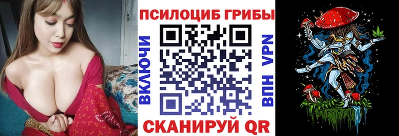 Псилоцибиновые грибы MAGIC MUSHROOMS Купить где Наволоки