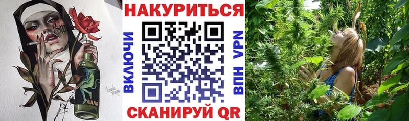 Канабис план  Купить закладки  Наволоки 
